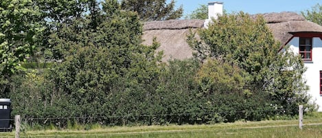 Casa | Jardines del alojamiento