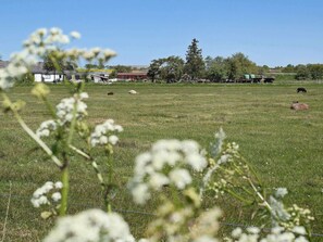 Ferienhaus | Außenbereich