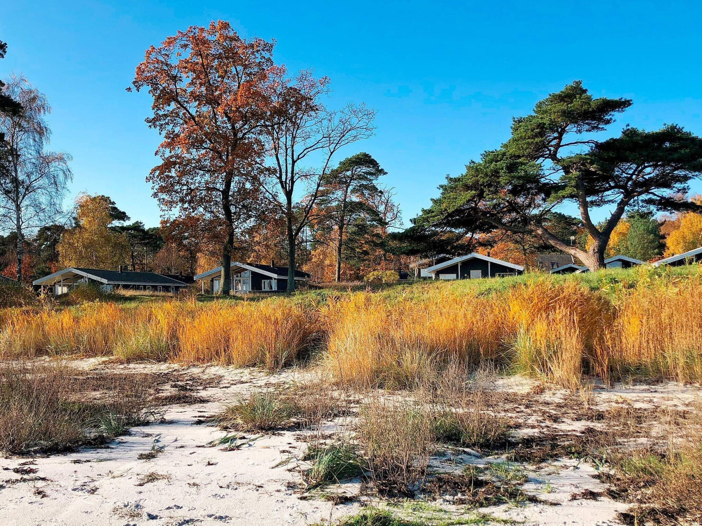 Hus | Udendørsområde