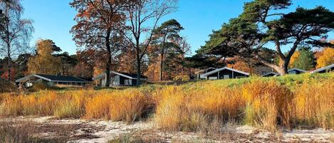 Casa | Vista desde la propiedad