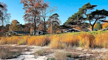 House | View from property