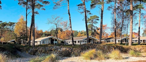 獨棟房屋 | 外觀