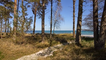 En kuststig som går genom ett trädbevuxet område och leder ner till en strand.