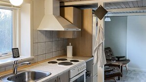 Une cuisine moderne équipée d’une cuisinière, d’un four et d’un évier en acier inoxydable intégrés.