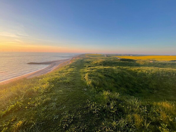 A coastal landscape with a grassy path leading to the beach, a clear sky, and distant wind turbines. - 4 Person Holiday Home in Lemvig (Lemvig)