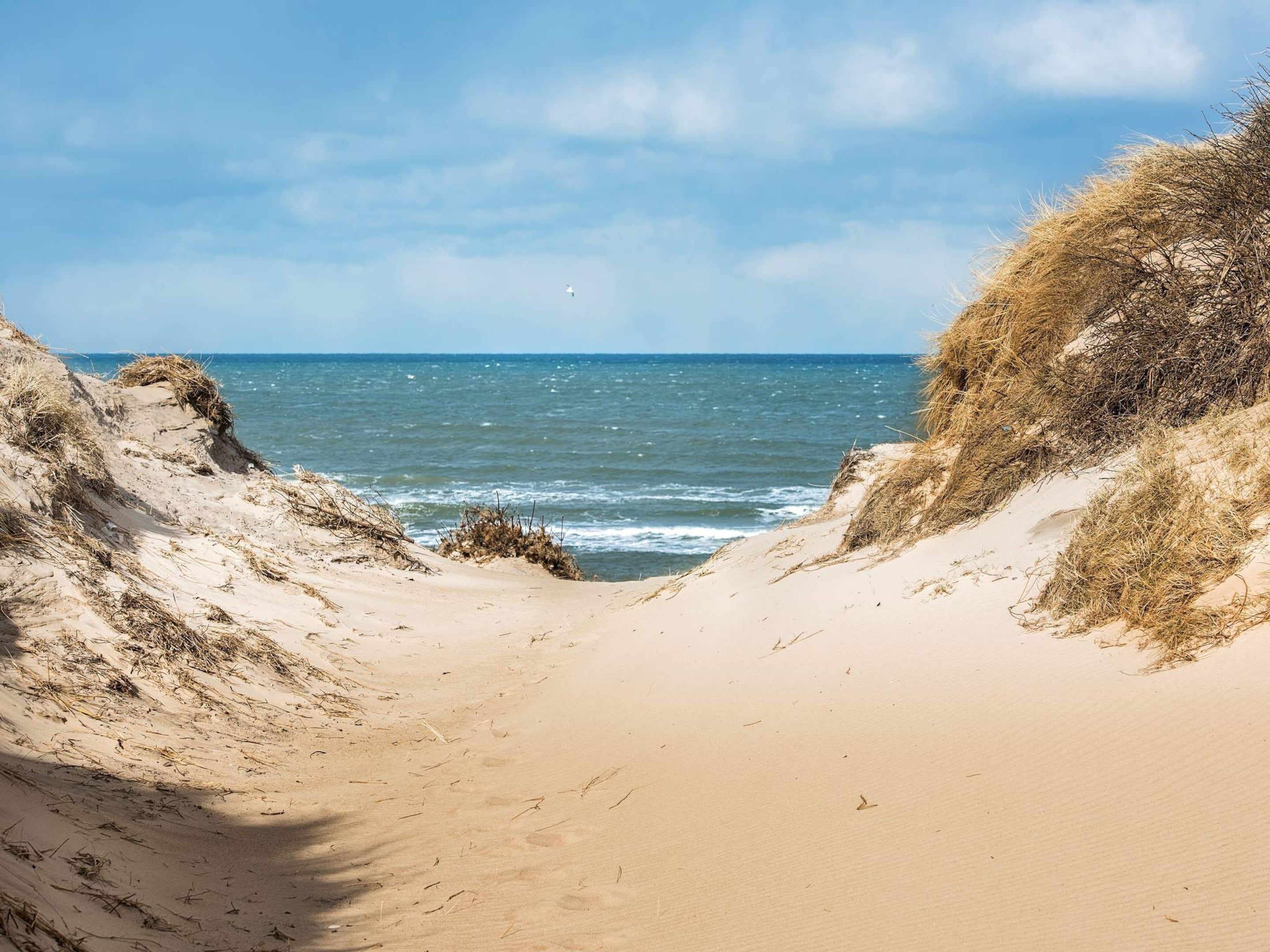 House | Beach