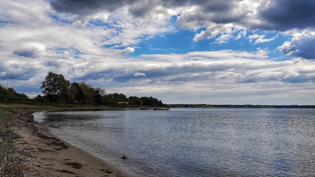 Une plage avec une étendue d’eau calme, des arbres et un ciel partiellement nuageux.