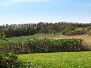 House | View from property