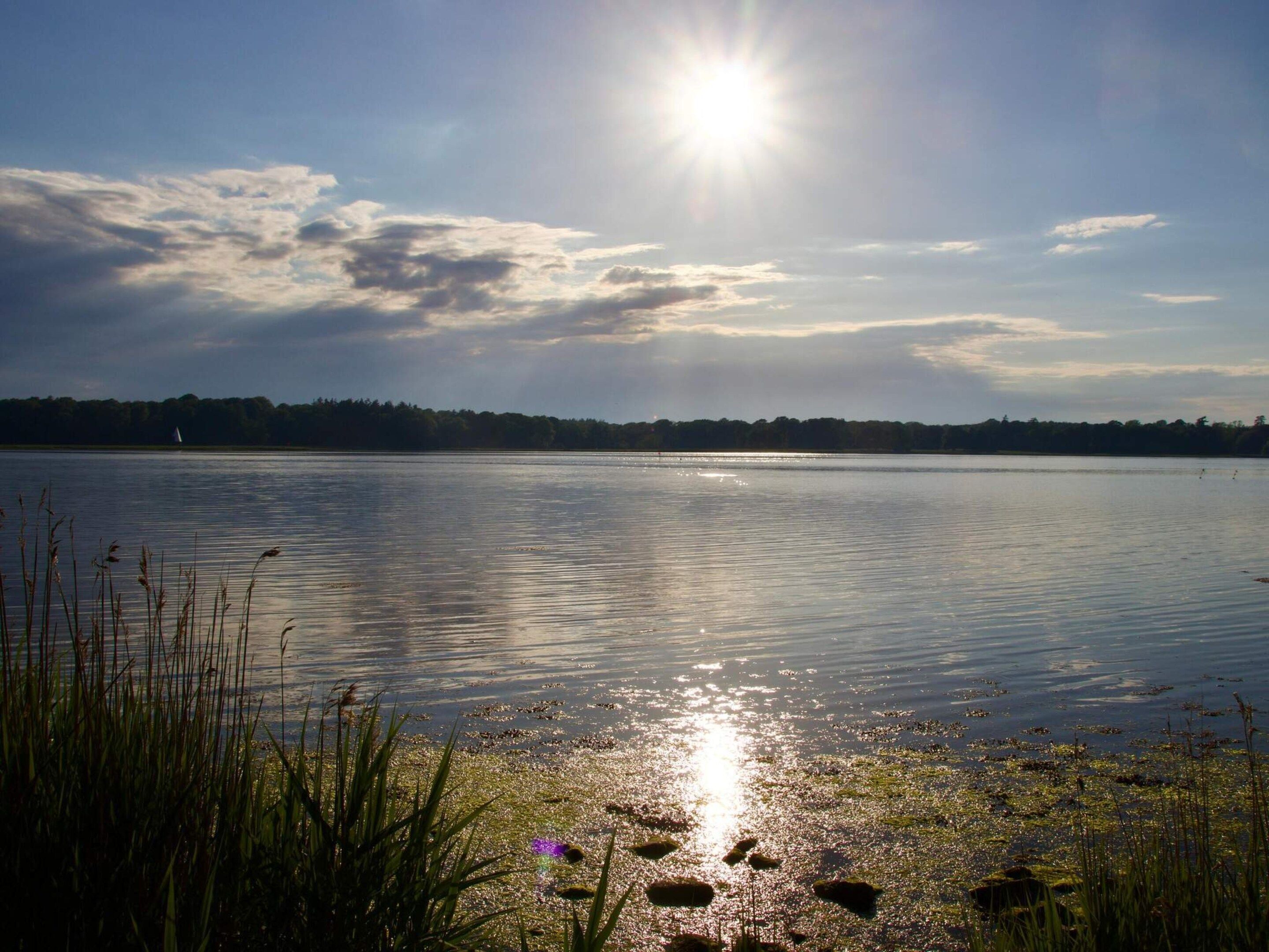 A calm lake with a clear sky, distant trees, and a visible lighthouse.
