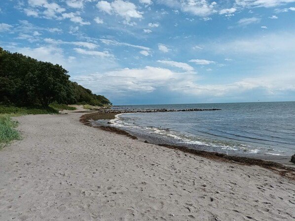 A sandy beach with a rocky breakwater and a forested area in the background.