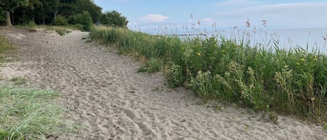 A sandy path leading to a body of water, surrounded by greenery and tall grasses.