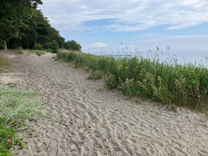 A sandy path leading to a body of water, surrounded by greenery and tall grasses. - 5 Star Holiday Home in Nysted (Nysted)
