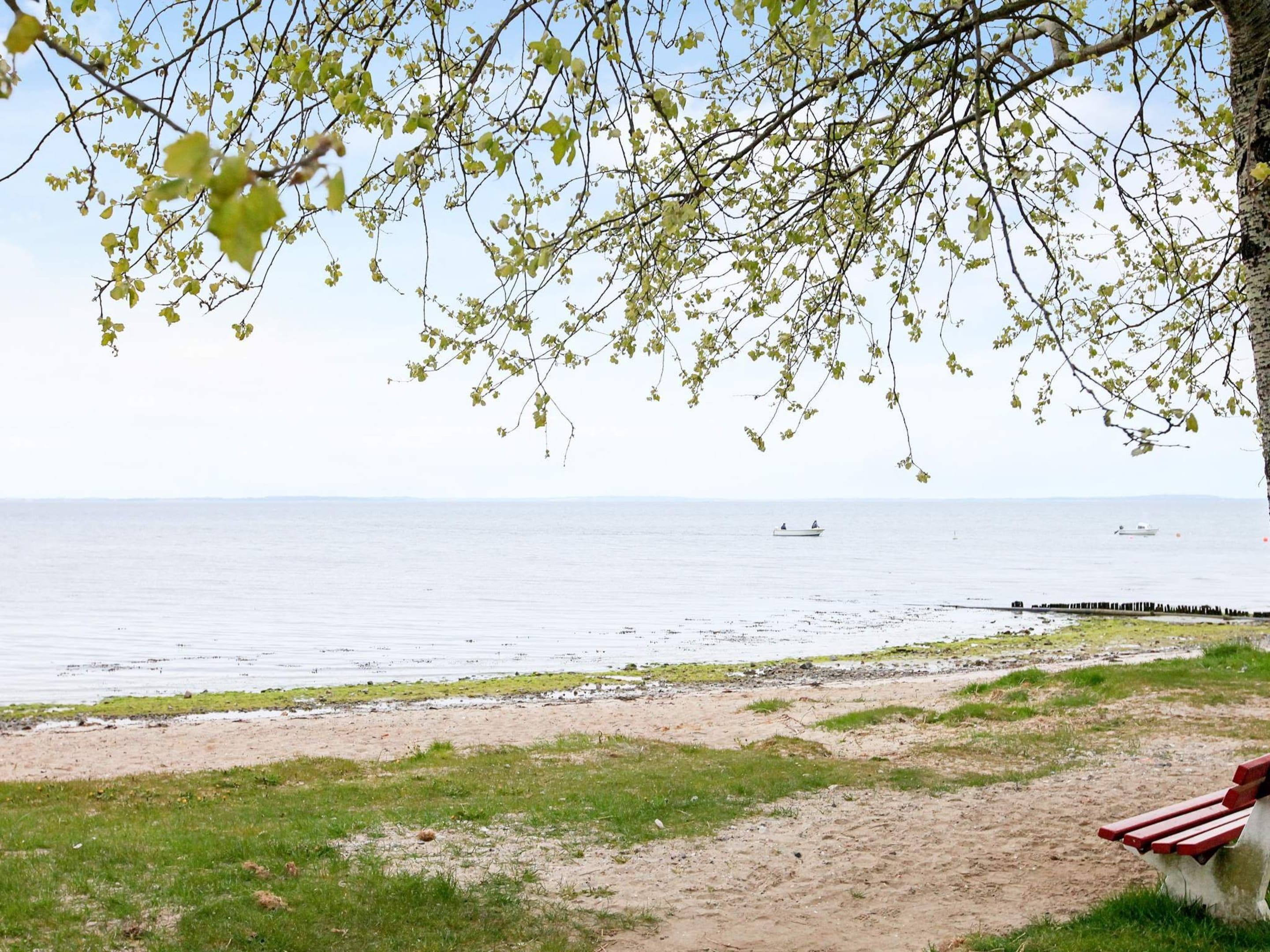 A beach with a path leading to a bench, a body of water, and a distant boat.