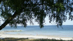 A beach with a clear view of the sea, a sandy shore, and a tree providing shade.