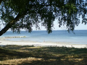 A beach with a clear view of the sea, a sandy shore, and a tree providing shade.