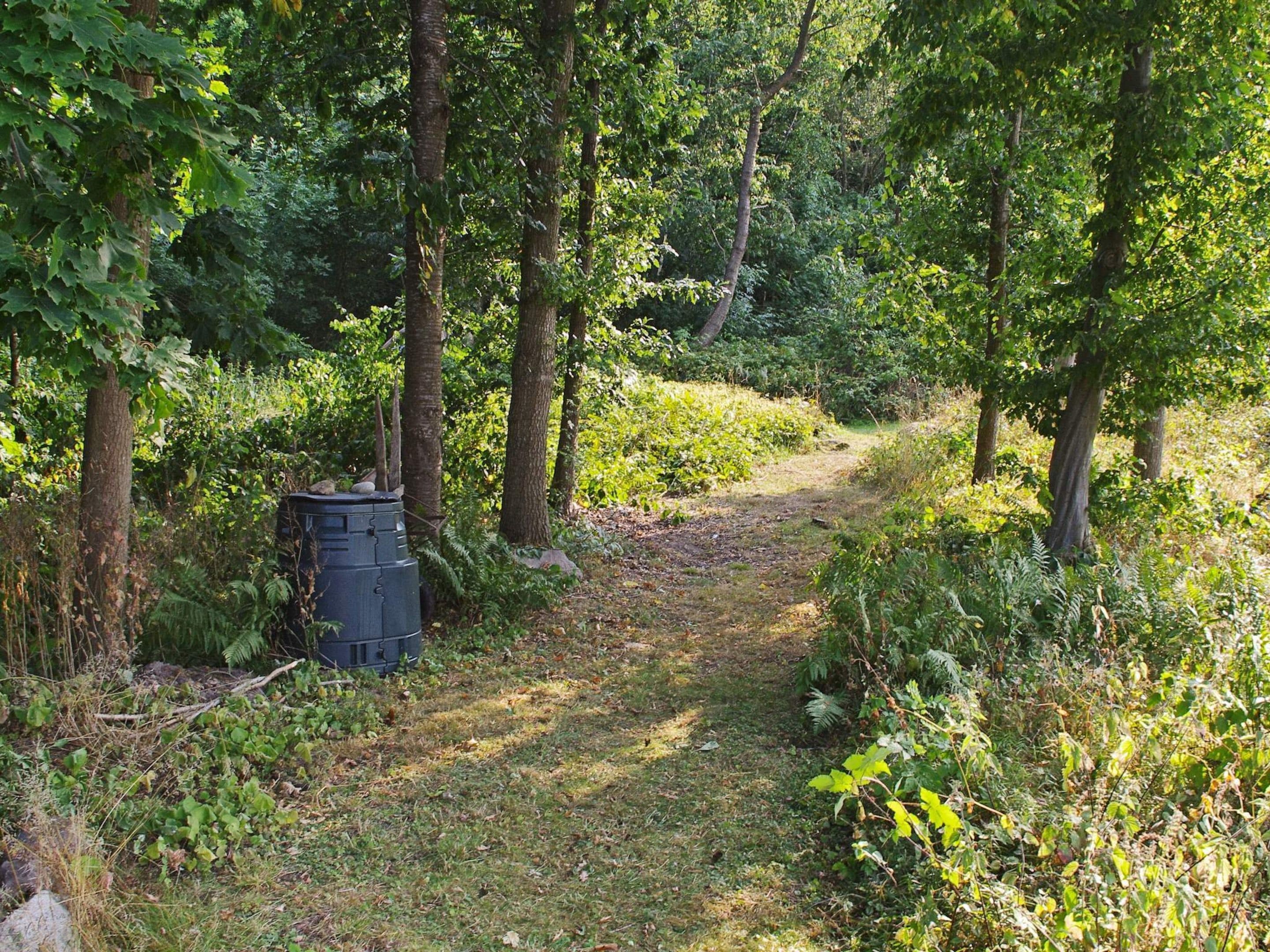 A forested path with a trash bin on the left.