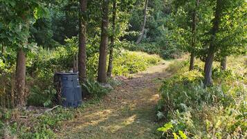 A forested path with a trash bin on the left.