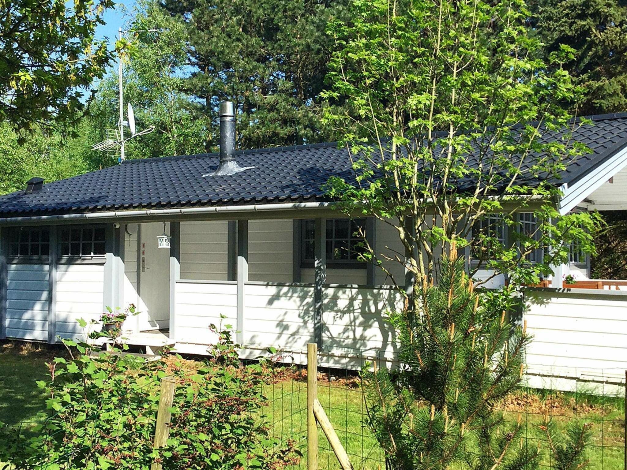 Ferienhaus | Außenbereich