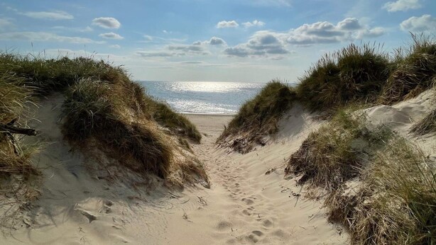 A sandy beach path leading to the ocean, surrounded by grassy dunes. - 8 Person Holiday Home in Ulfborg-by Traum (Ulfborg)