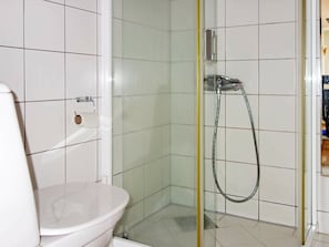 A small, enclosed shower area with a glass door, a toilet, and a towel rack.