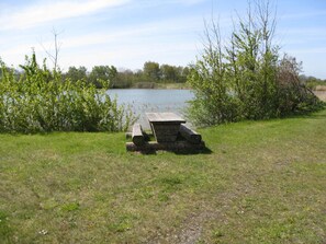 Une table de pique-nique avec un plateau en pierre, entourée d’herbe et de buissons, près d’une étendue d’eau.