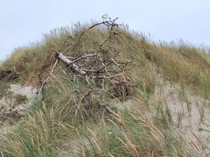 A natural landscape with a mound of sand and sparse vegetation. - 5 Star Holiday Home in Harboore (Harboore)