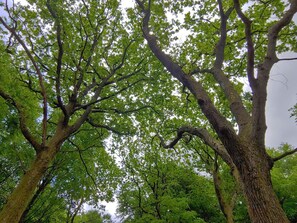 House | Miscellaneous - Luxury Retreat With Pool - By Traum Ferienwohnungen (Oksbol)