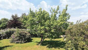 Hus | Udsigt fra overnatningsstedet