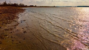 A beach with wet sand and gentle waves. - 6 Person Holiday Home in Bogo By (Bogø By)