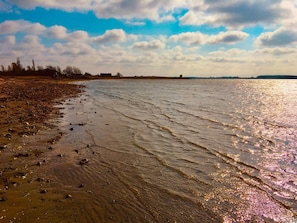 A beach with wet sand and gentle waves, a clear sky, and distant trees. - 6 Person Holiday Home in Bogo By (Bogø By)
