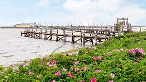 A pier with multiple wooden walkways extending into the water, surrounded by green vegetation and pink flowers. - Holiday Home in Gilleleje (Gelting)