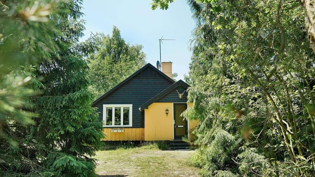 Ein kleines, eingeschossiges Haus mit dunklem Dach und gelben Wänden, umgeben von dichtem Grün.