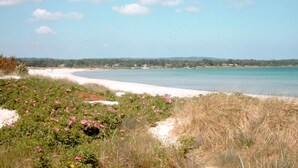 Eine Küstenlandschaft mit Sandstrand, dichter Vegetation und blauem Himmel.