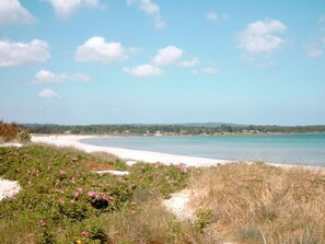 Ferienhaus | Blick von der Unterkunft
