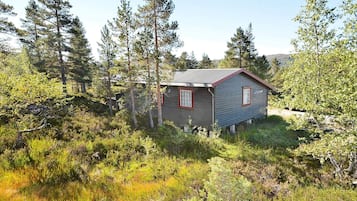 House | Exterior