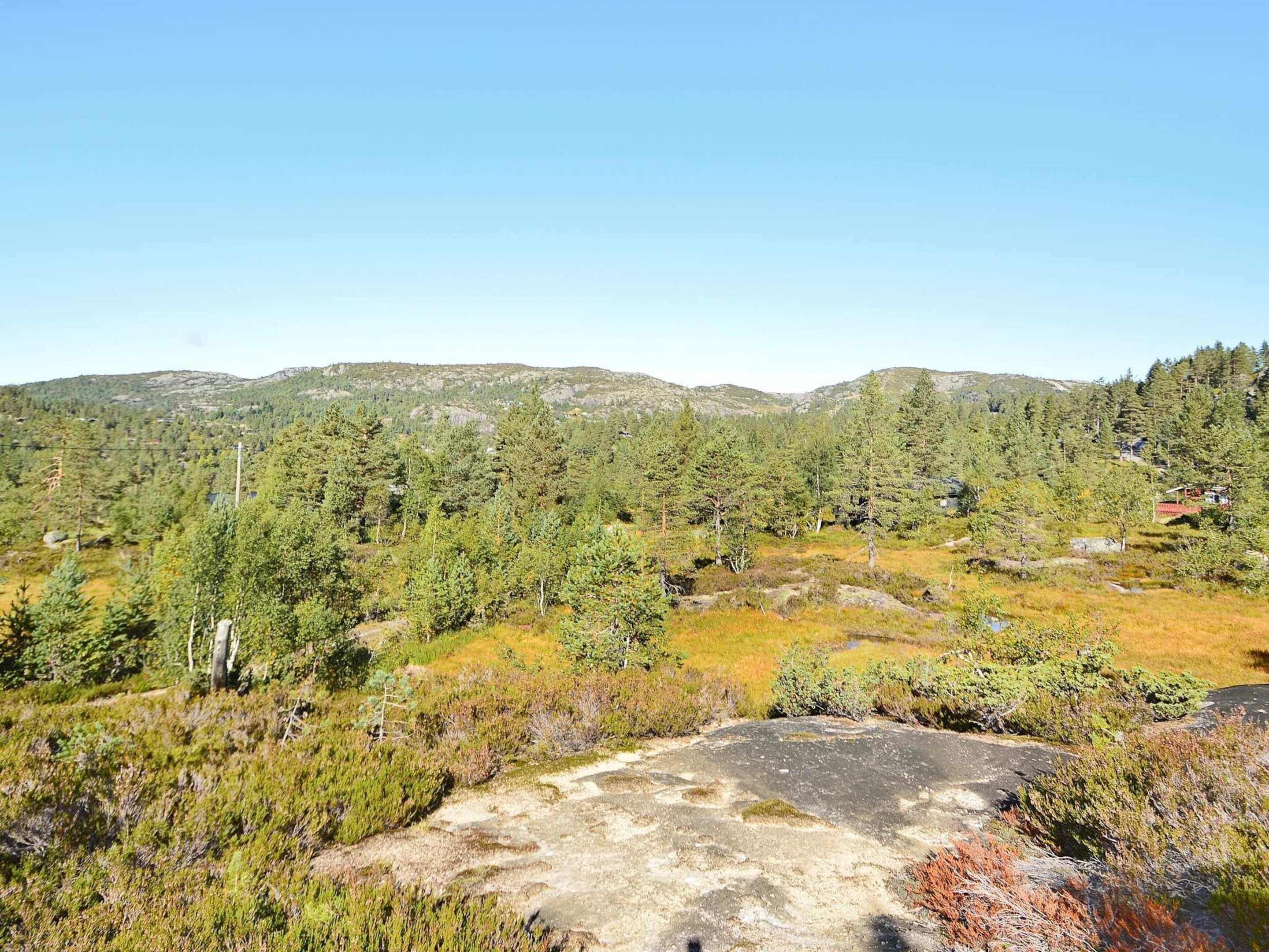 Un paisaje montañoso con densos bosques y cielo despejado.
