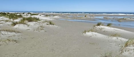 A beach with sand dunes and a clear sky.