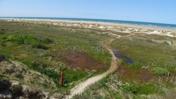 A coastal landscape with a dirt path leading to the beach. - 4 Star Holiday Home in Albaek (Aalbaek)