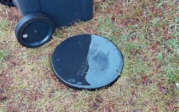 A round object with a dark surface on grass.