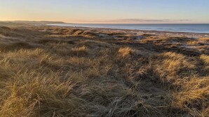 A coastal landscape with dunes and a clear sky.