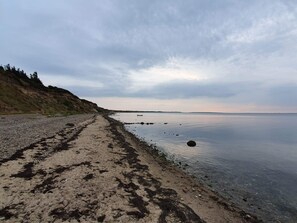 A beach with a rocky shoreline and calm water. - 5 Star Holiday Home in Spottrup (Spøttrup)