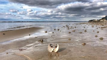 A beach with scattered shells and footprints, a cloudy sky, and a distant shoreline.