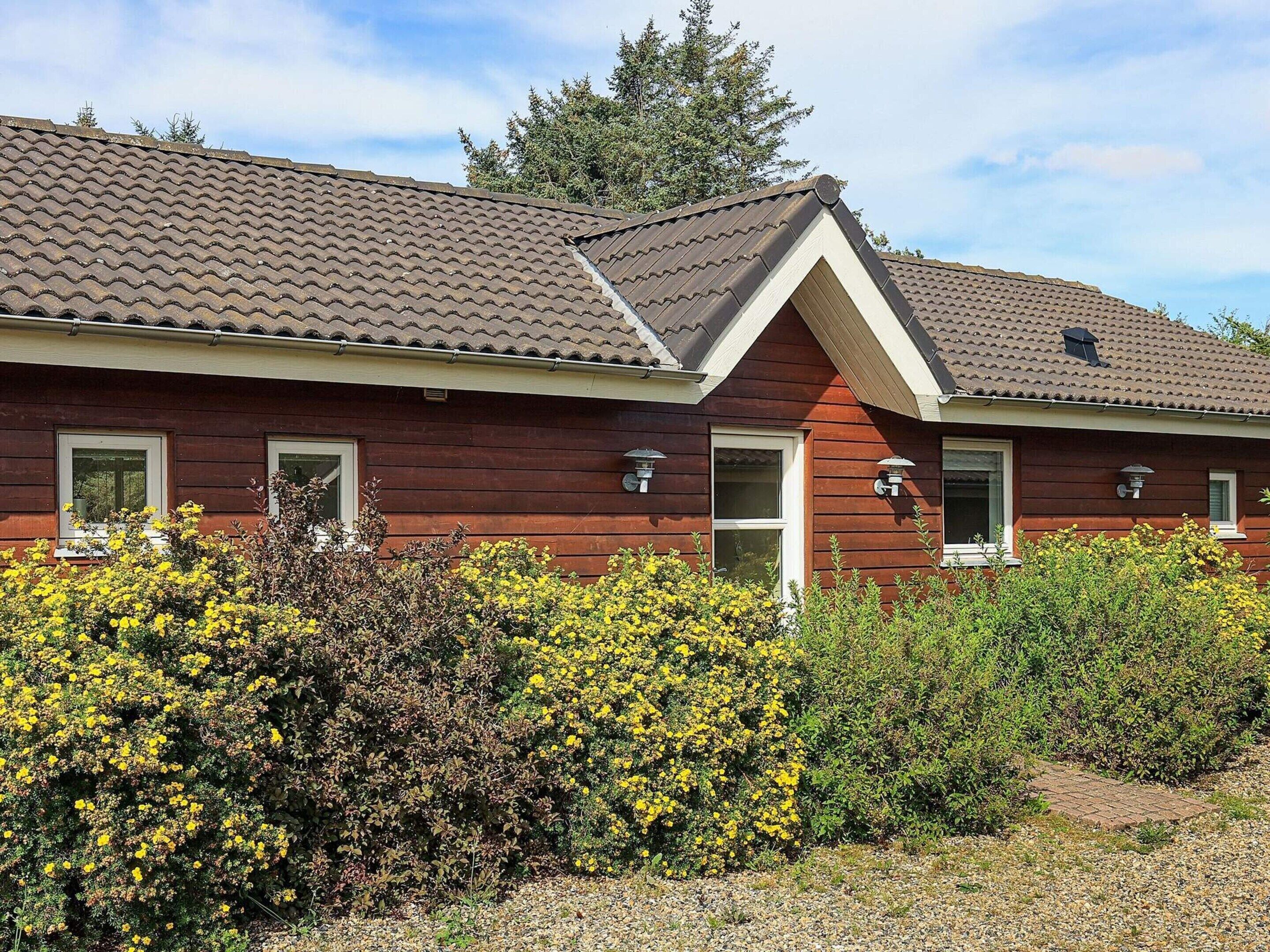 A red wooden house with a tiled roof, a front door, and two windows.