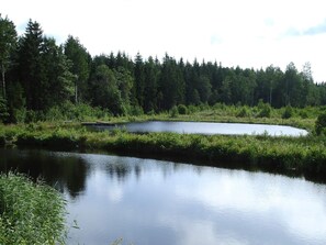 A calm lake surrounded by dense forest.