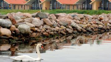 Ferienhaus | Blick auf das Wasser