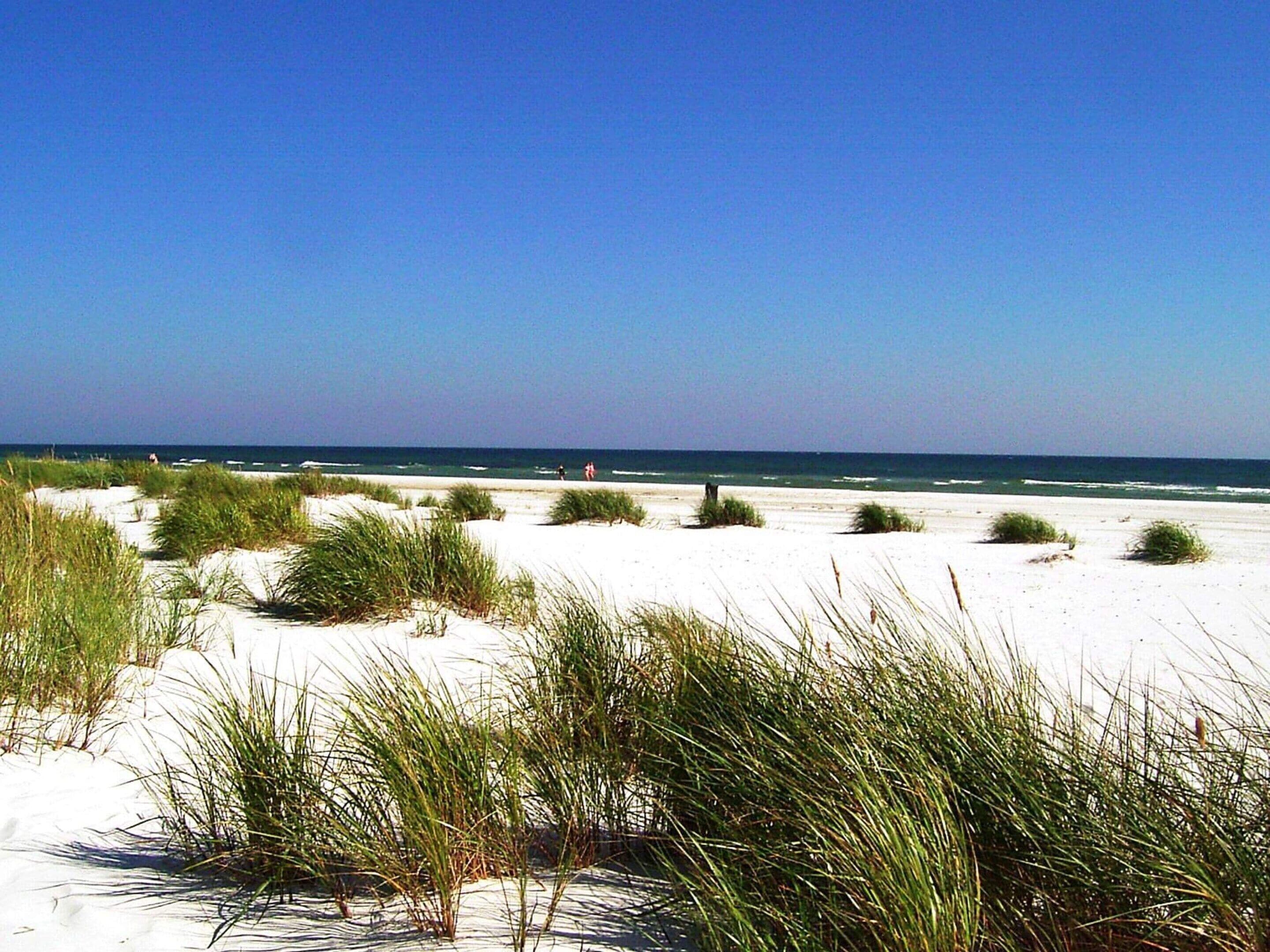 A beach with sand dunes and sparse vegetation.