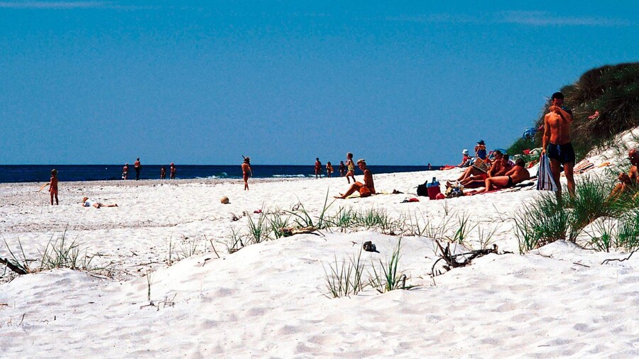 12 Person Holiday Home in Nexo