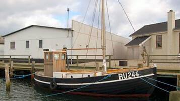 House | View from property