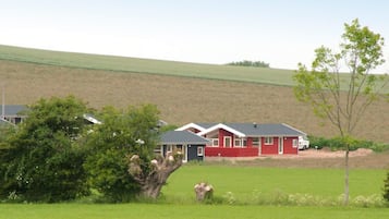 House | View from property