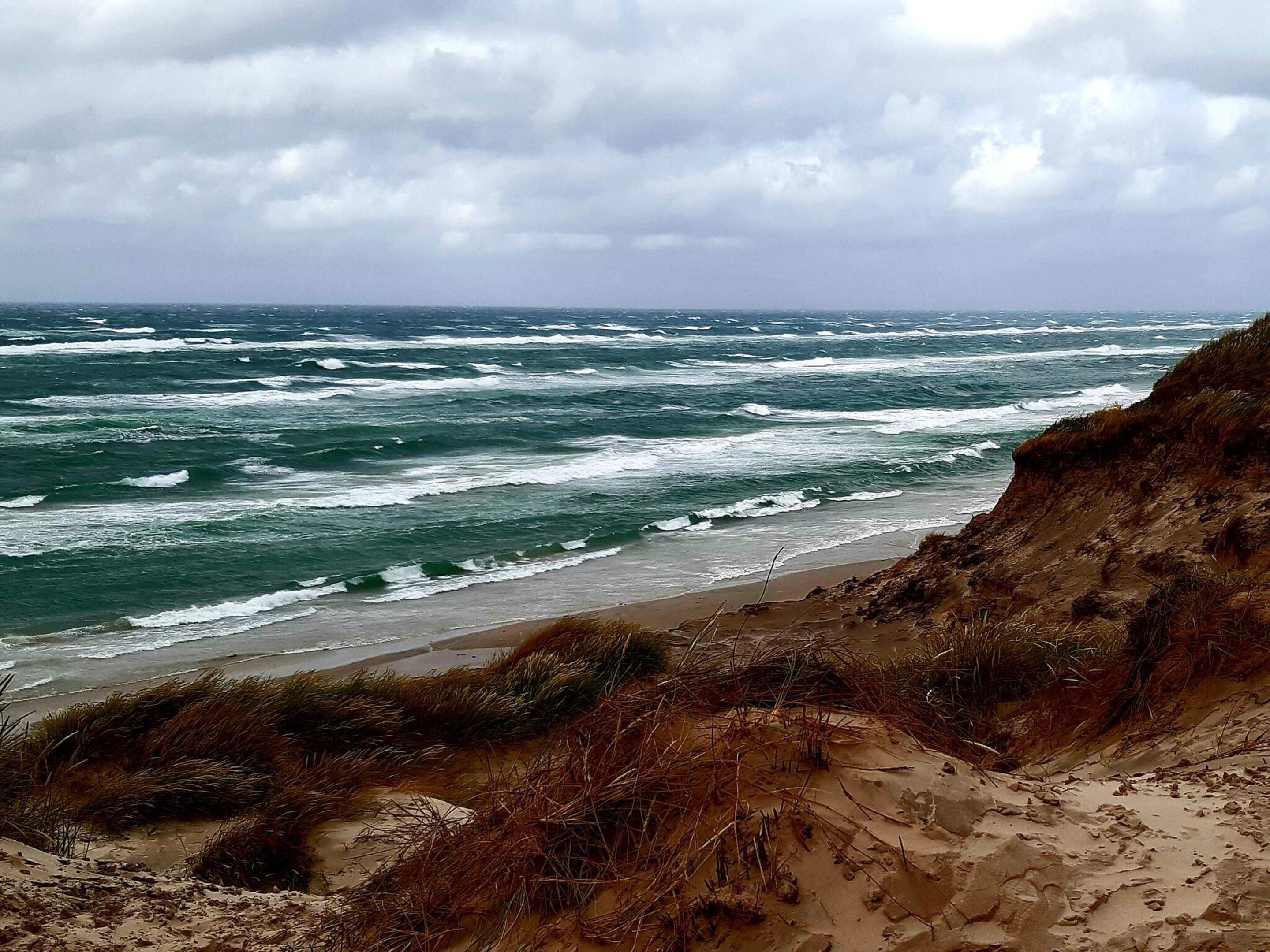 Une plage avec des vagues, des dunes de sable et une végétation clairsemée.